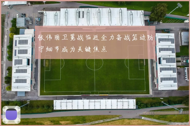 张伟丽卫冕战临近全力备战笼边防守细节成为关键焦点